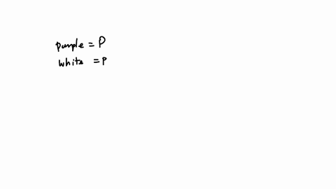 if-a-true-breeding-white-flowered-plant-is-bred-with-a-true-breeding-purple-flowered-plant-what-are-the-genotypes-of-all-the-offspring-group-of-answer-choices-homozygous-dominant-and-heteroz-03124