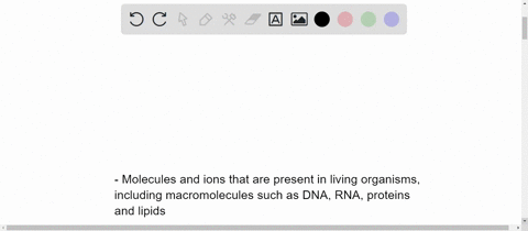 how-would-you-distinguish-the-bio-molecules-what-is-the-criteria-for-classifying-a-biomolecules-as-macromolecules-or-micromolecules-92527