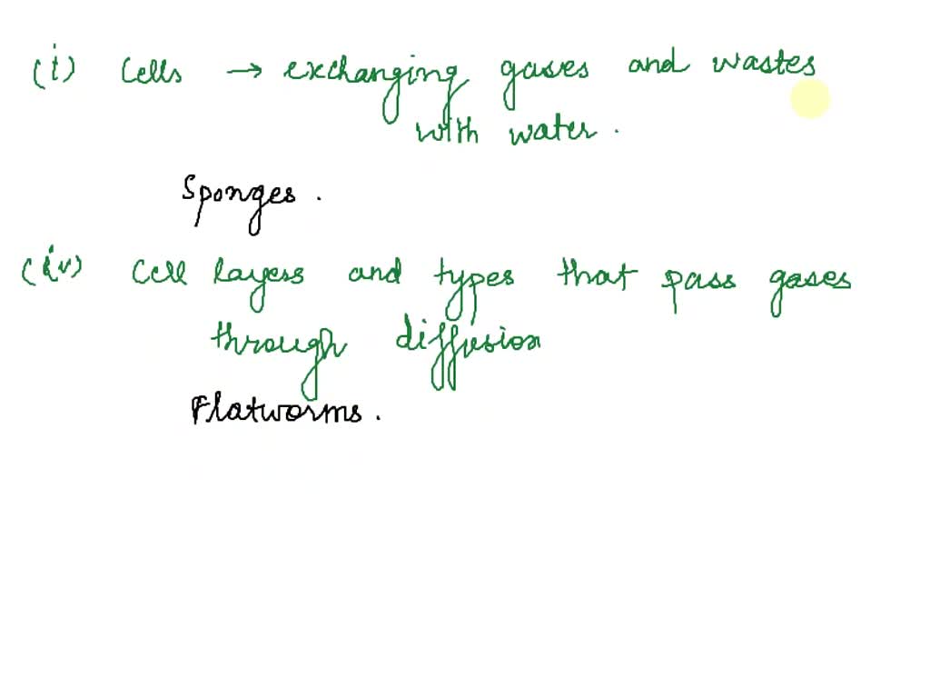 SOLVED What type of organ systems are found in sponges? (Select all