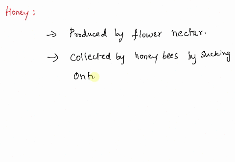 from-where-does-honey-come-how-is-it-produced-and-collected-43501