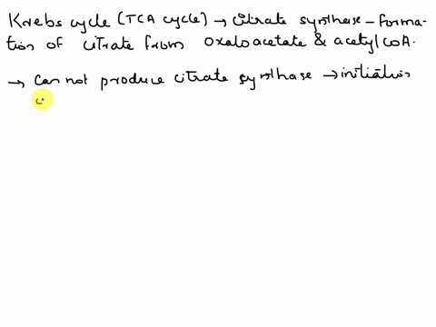 a-person-has-glutamate-in-their-cells-and-they-are-able-to-make-alpha-ketoglutarate-from-it-they-are-also-able-to-make-succinyl-coa-succinate-fumarate-malate-and-oxaloacetate-what-they-canno-04699