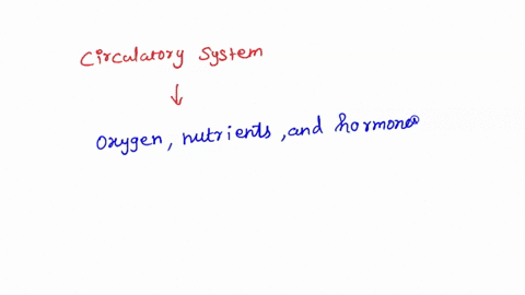 which-of-these-is-a-function-of-the-circulatory-system-aremoving-wastes-from-tissuesbdelievering-carbon-dioxide-to-cells-for-cellular-respiration-c-transferring-impulses-from-one-cell-to-ano-11701