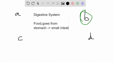 which-of-the-following-statements-about-the-digestive-system-is-false-a-chyme-is-a-mixture-of-food-a-56823