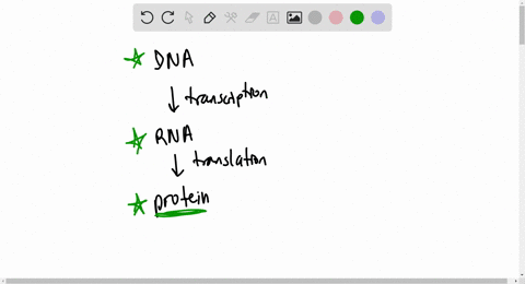how-is-gene-expression-regulated-describe-at-least-two-factors-that-regulate-gene-expression-please-provide-a-very-detail-explanation-for-this-question-above-biochemistry-class-29753