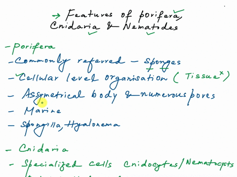 pltyhclminthc-nemetode-poricn-cnidaria-hydra-corak-sea-flal-wuims-muemonc-and-jclie-kound-onm-common-name-latin-stems-sponges-symmetry-examples-ex-of-parasite-diseases-body-plan-coclom-outer-33976