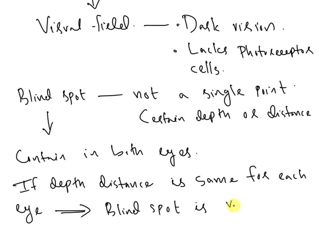 SOLVED Texts Font Paragraph Styles Left Eye Observations Of