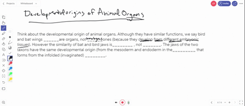 think-about-the-developmental-origin-of-animal-organs-although-they-have-similar-functions-we-say-bird-and-bat-wings-______are-organs-not-______ones-because-they-develop-from-different-embry-98771