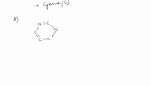 a-end-end-o-d-0-end-ch-end-56-the-letter-a-indicates-a-a-purine-purine-base-pairing-q-the-guanine-cytosine-base-pair-the-adenine-thymine-base-pair-a-pyrimidine-pyrimidine-base-pairing-none-o-70782