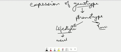 the-expression-of-a-genotype-is-called-a-a-nucleus-b-chromosome-c-phenotype-d-translation-22857