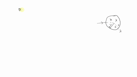 assume-the-region-to-the-right-of-a-certain-vertical-plane-contains-a-vertical-magnetic-field-of-mag-05344