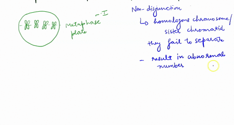 question-15-during-metaphase-i-______-a-tetrads-form-and-crossing-over-occurs-b-sister-chromatids-separate-and-migrate-to-opposite-poles-c-the-nuclear-envelope-breaks-up-d-tetrads-line-up-on-00275