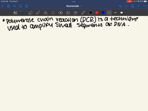 what-involves-pcr