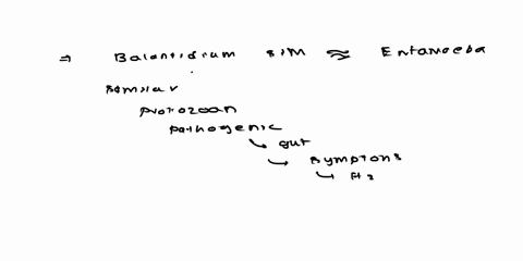 in-what-ways-are-balantidium-similar-to-entamoeba-in-what-ways-are-they-different-49886