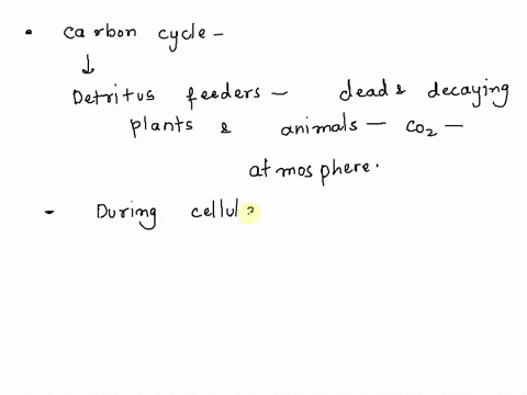 question-47-1pts-which-of-the-following-is-false-regarding-the-carbon-cycle-detritus-represents-an-essential-component-of-the-carbon-cycle-decomposers-also-contribute-to-the-recycling-of-car-96636