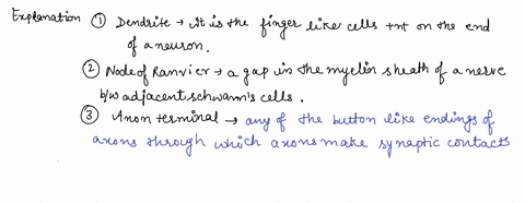 1-dendrite-2-nodes-of-ranvier-3-axon-terminal-4-synapse-5-nucleus-6-axon-7_-cell-body-8-myelin-sheath-43437