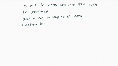 you-isolate-intact-mitochondria-and-equilibrate-them-in-a-buffered-solution-at-ph-9-containing-01-m-kcl-and-adp-plus-pi-but-without-succinate-no-citric-acid-cycle-andno-proton-pumps-you-coll-41993