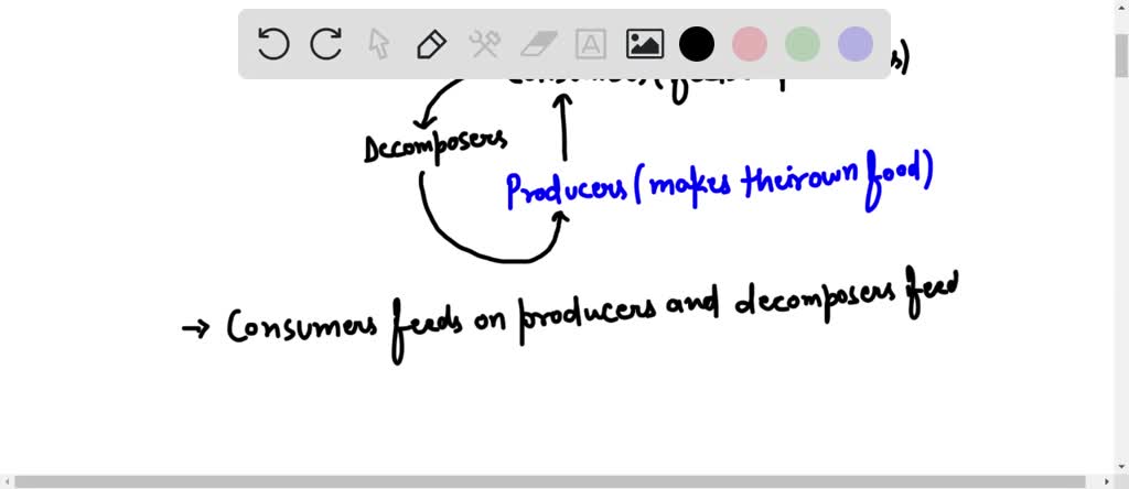 Which Statement Best Compares Consumers And Decomposers