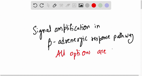 which-of-the-following-describe-means-of-signal-amplification-in-the-b-adrenergic-response-pathway-check-all-that-apply-activation-of-g-protein-by-a-ztm-receptor-production-of-cyclic-amp-by-05733