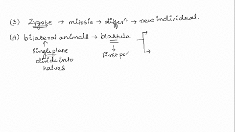 fill-the-blanks-pls-answer-all-questions-1-spermatogenesis-is-the-process-in-which-an-animal-produces-________-2-oogenesis-is-the-process-in-which-an-animal-produces-________3-the-gametes-fu-83301