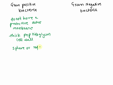 what-other-properties-besides-staining-are-different-in-grampositive-and-gram-negative-bacteria-40575