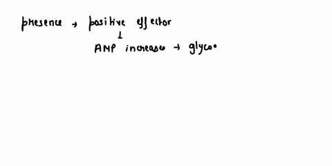 glycogen-phosphorylase-converts-glycogen-into-glucose-subunits-and-is-the-rate-limiting-step-glycogenolysis-it-catalyzcs-the-following-reaction-a-14-glycogen-chaina-pi-a-14-glycogen-chain-1-26941