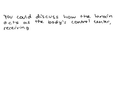 option-2-write-a-4-page-double-spaced-essay-answering-the-question-how-does-the-human-brain-work-your-answer-should-cover-at-least-some-material-from-all-parts-of-the-course-with-the-intenti-33991