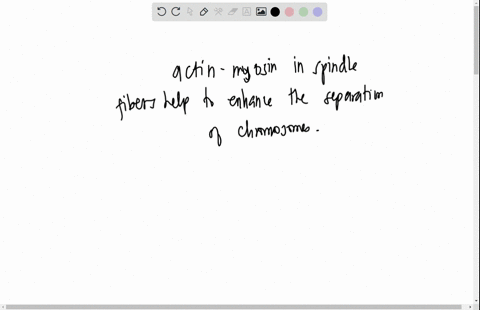 you-inject-cells-with-an-antibody-that-binds-to-myosin-this-prevents-myosin-from-binding-to-actin-what-will-be-the-effect-on-anaphase-and-cytokinesis-14973