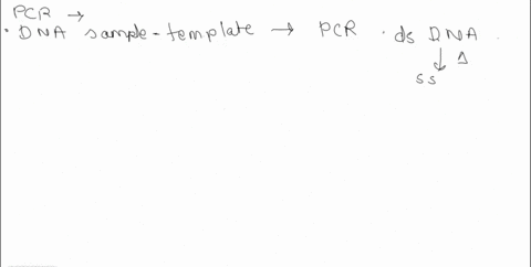 pcr-is-the-standard-procedure-for-making-detectable-quantities-of-dna-from-isolated-samples-of-nucleic-acids-the-repeated-pcr-cycles-result-in-exponential-numbers-of-copies-being-produced-fr-32066
