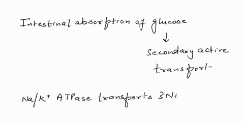 question-3-2-in-intestinal-absorption-which-areas-is-sodium-transport-involved-iiand-iv-iand-i-ii-and-iii-10-42146
