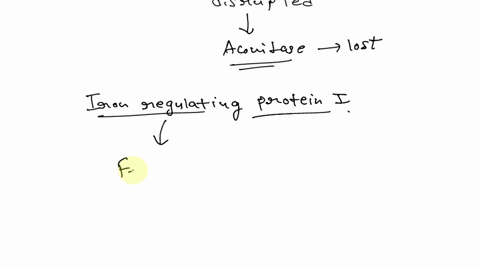 after-a-search-of-nucleotide-sequence-databases-researchers-identified-an-ire-in-the-5-untranslated-region-of-a-gene-encoding-aconitase-an-enzyme-involved-in-the-krebs-cycle-which-of-the-fol-79161