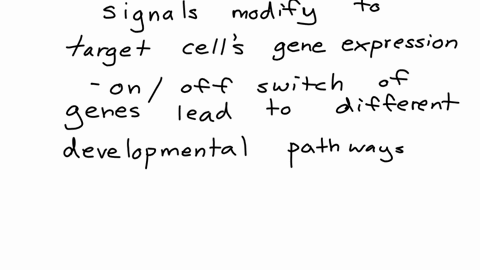 1-signal-transduction-pathways-are-important-mechanisms-for-cell-to-cell-communication-in-multicellular-organisms-how-do-the-target-cells-typically-respond-when-they-receive-signals-from-nei-27278