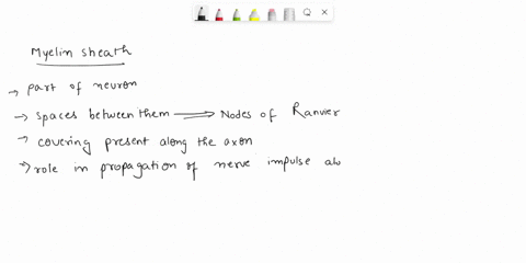 question12-1point-which-statement-is-true-regarding-myelin-sheaths-myelin-sheaths-are-found-only-on-neurons-in-the-peripheral-nervous-systerms-myclin-sheaths-allowfor-action-potentials-to-be-87785