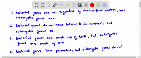 which-of-the-following-is-a-difference-in-the-way-that-bacterial-and-eukaryotic-genes-are-structured-bacterial-genes-are-not-regulated-by-transcription-factors-but-eukaryotic-gene-are-bacter-89169