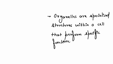 organelles-and-molecules