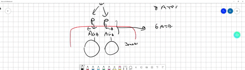 the-majority-of-atp-in-aerobic-respiration-is-produced-by-glycolysis-and-tca-cycle-the-electron-transport-chain-krebs-cycle-and-intermediary-stage-the-krebs-cycle-glycolysis-previous-98446