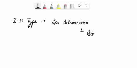 fruit-flies-use-the-z-w-sex-determination-system-true-or-false-96139