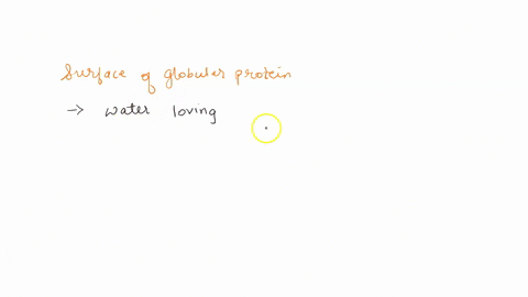 which-amino-acid-you-would-expect-to-find-on-the-surface-in-a-globular-protein-ala-val-trp-ser-36636