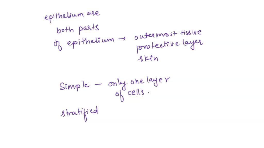 SOLVED How can you distinguish between simple columnar and