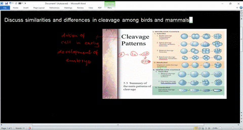 discuss-similarities-and-differences-in-cleavage-among-birds-and-mammals-94267