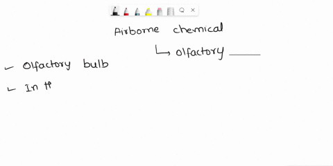 airborne-chemical-substances-travel-up-the-nose-to-the-olfactory-__________-which-is-the-receptor-for-smell-a-cilia-b-cortex-c-bulb-d-base-please-select-the-best-answer-from-the-choices-prov-60445