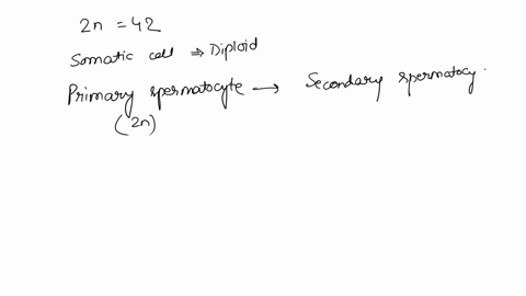 thes-somatic-cell-of-a-rat-contains-42-chromosomes-2n-42-how-many-chromosomes-and-how-many-dna-molecules-would-the-secondary-spermatocyte-of-his-rat-have-number-incorrect-you-have-entered-th-78815