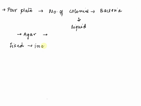 in-a-pour-plate-why-are-colonies-growing-on-top-of-the-agar-larger-than-colonies-growing-with-in-the-agar-03085