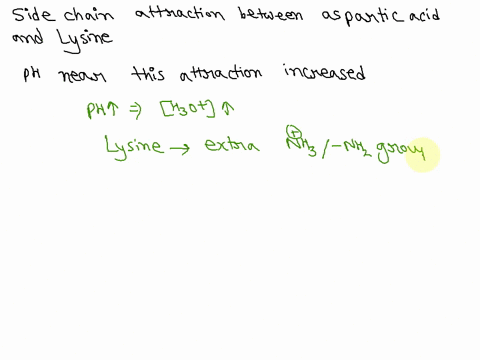 consider-side-chain-attraction-between-aspartic-acid-and-lysine-that-holds-a-protein-s-tertiary-structure-together-ifthe-ph-near-this-attraction-is-greatly-increased-some-denaturation-may-oc-07842