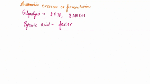 during-anaerobic-exercise-or-fermentation-the-pyruvate-produced-by-glycolysis-is-further-processed-to-give-lactate-in-muscle-or-ethanol-and-carbon-dioxide-in-yeast-when-we-ingest-ethanol-it-57466