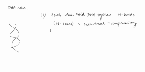 mlochcmltr-tnc-composktion-two-dna-strands-colled-figure-25-hold-incm-dvadnncs-opethea-ia-1-namethe-bond-that-nclpito-cig-nanc-thrcc-dimensonil-ajape-of-the-dna-molcule-alaulolo-nolio-hox-ma-58354