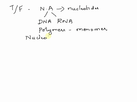 nucleotides-are-the-monomer-for-nucleic-acids-select-one-true-false-73708