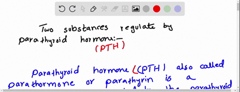 two-substances-regulated-by-parathyroid-hormone-99585
