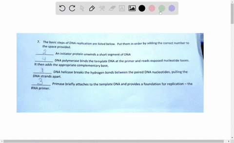 the-basic-steps-of-dna-replication-are-listed-below-put-them-in-order-by-adding-the-correct-number-to-the-space-provided-an-initiator-protein-unwinds-short-segment-of-dna-dna-polymerase-bind-30835