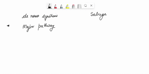 differentiate-between-the-de-novo-synthesis-of-nucleotides-and-salvage-pathway-synthesis-94644