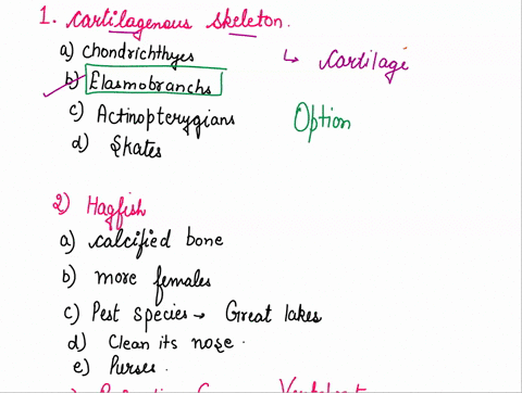 which-of-the-following-would-not-have-a-cartilaginous-skeleton-question-3-options-a-chondricthyes-b-elasmobranchs-c-actinopterygians-d-the-group-known-as-skates-all-of-the-following-are-corr-62941